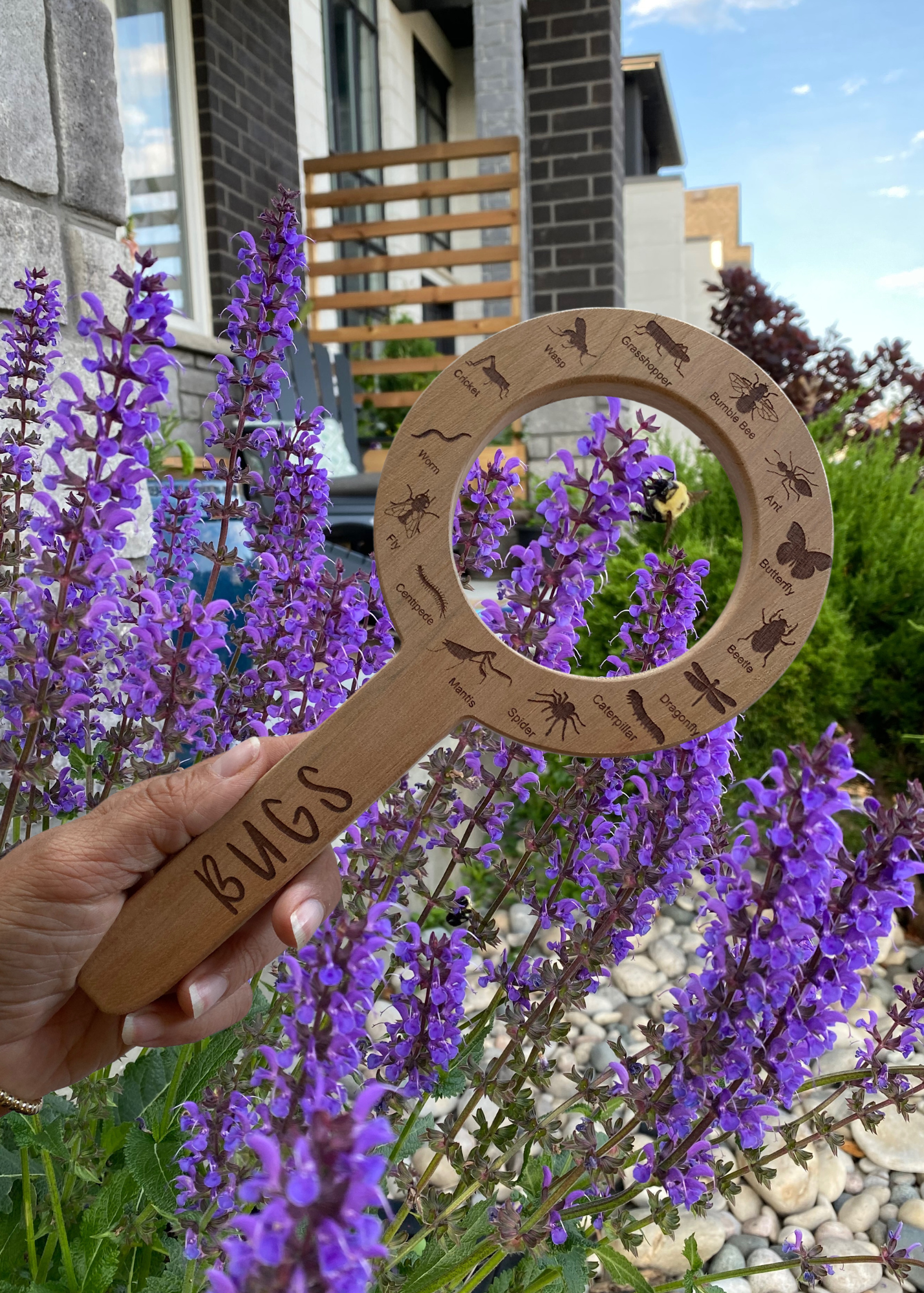 DOUBLE SIDED Animal Track and Bug Finder