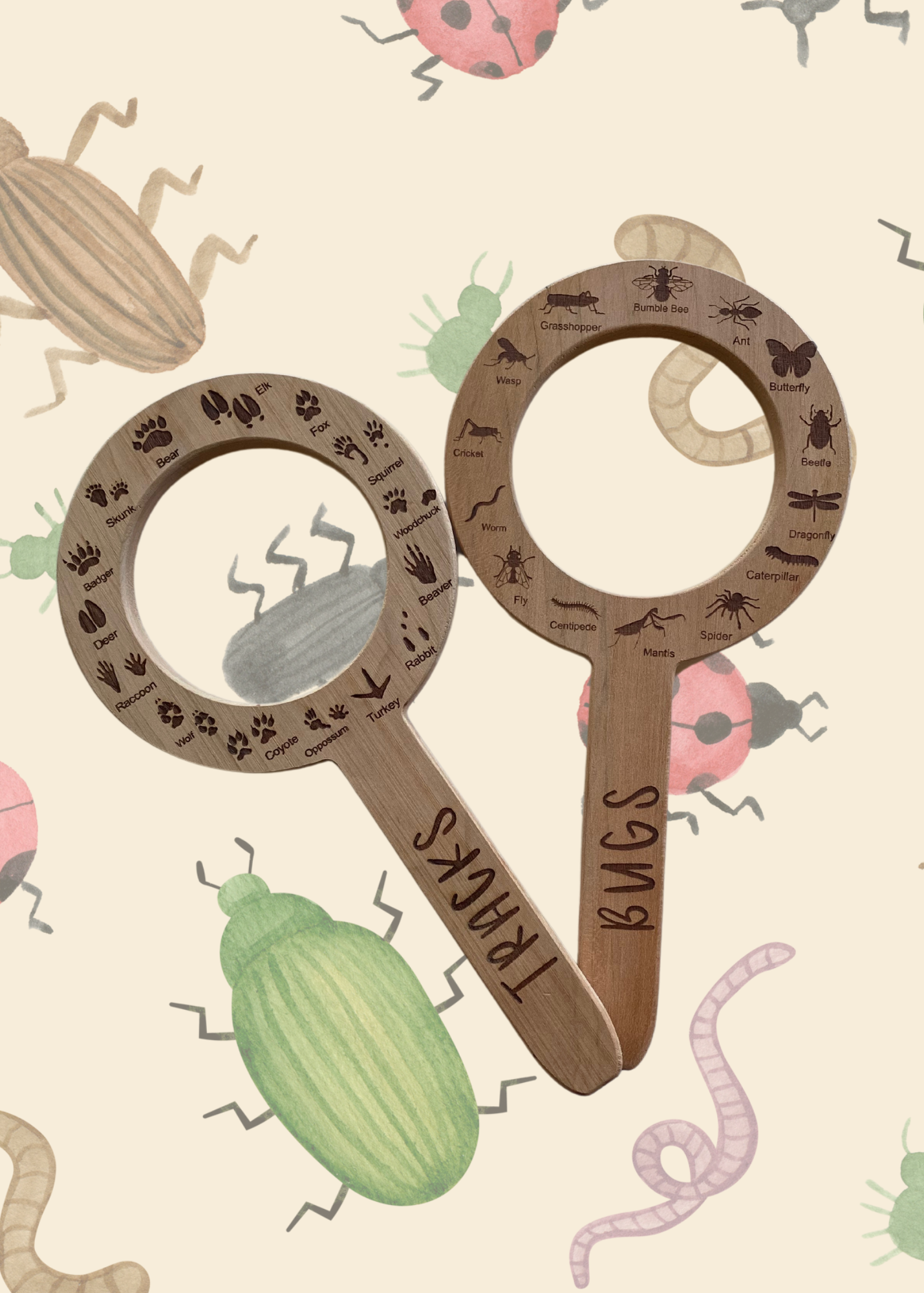 DOUBLE SIDED Animal Track and Bug Finder