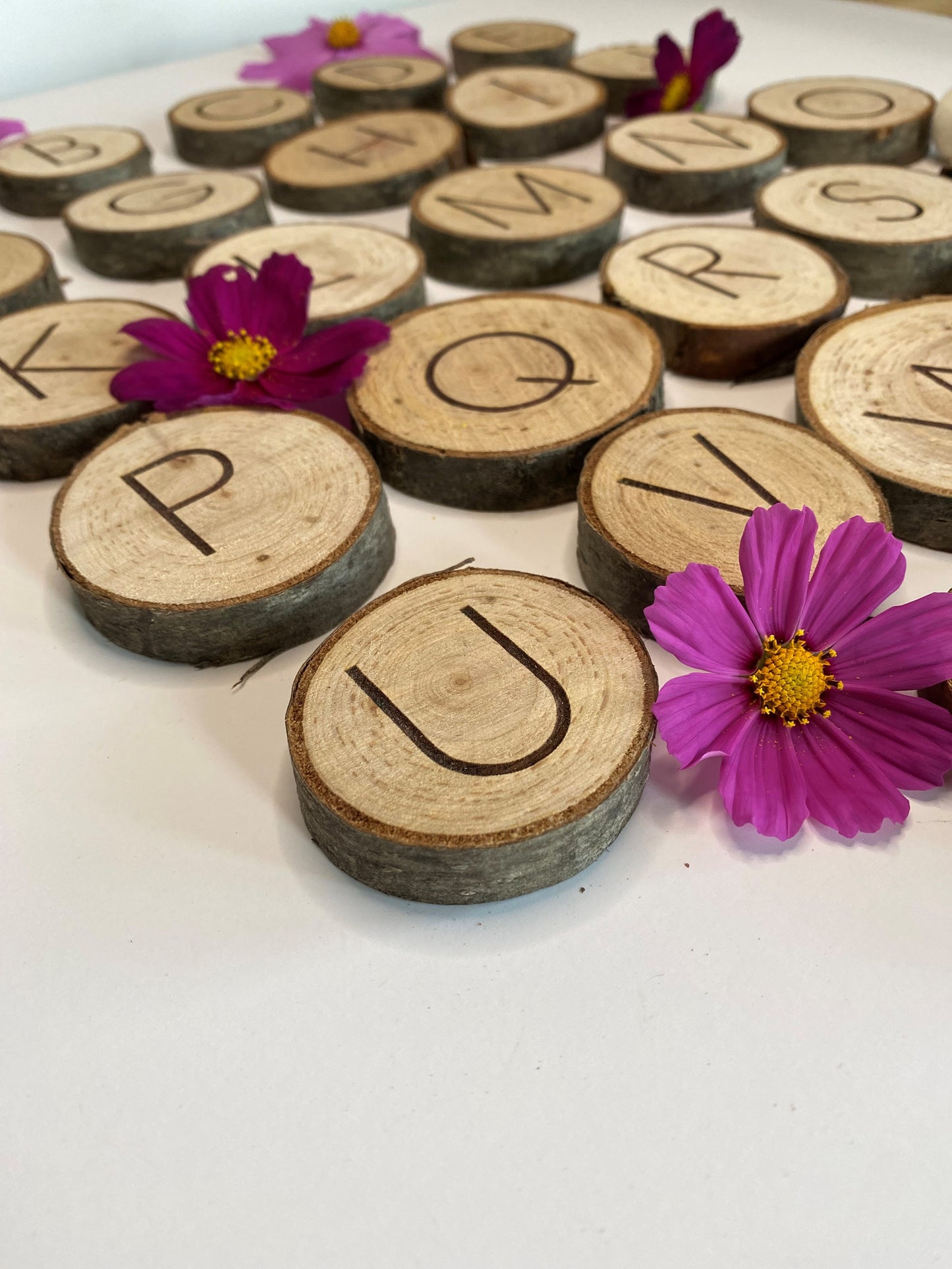 Woodland Alphabet Coins