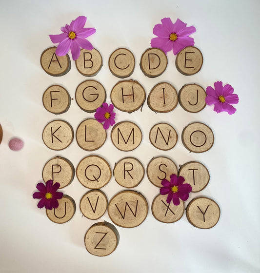 Woodland Alphabet Coins