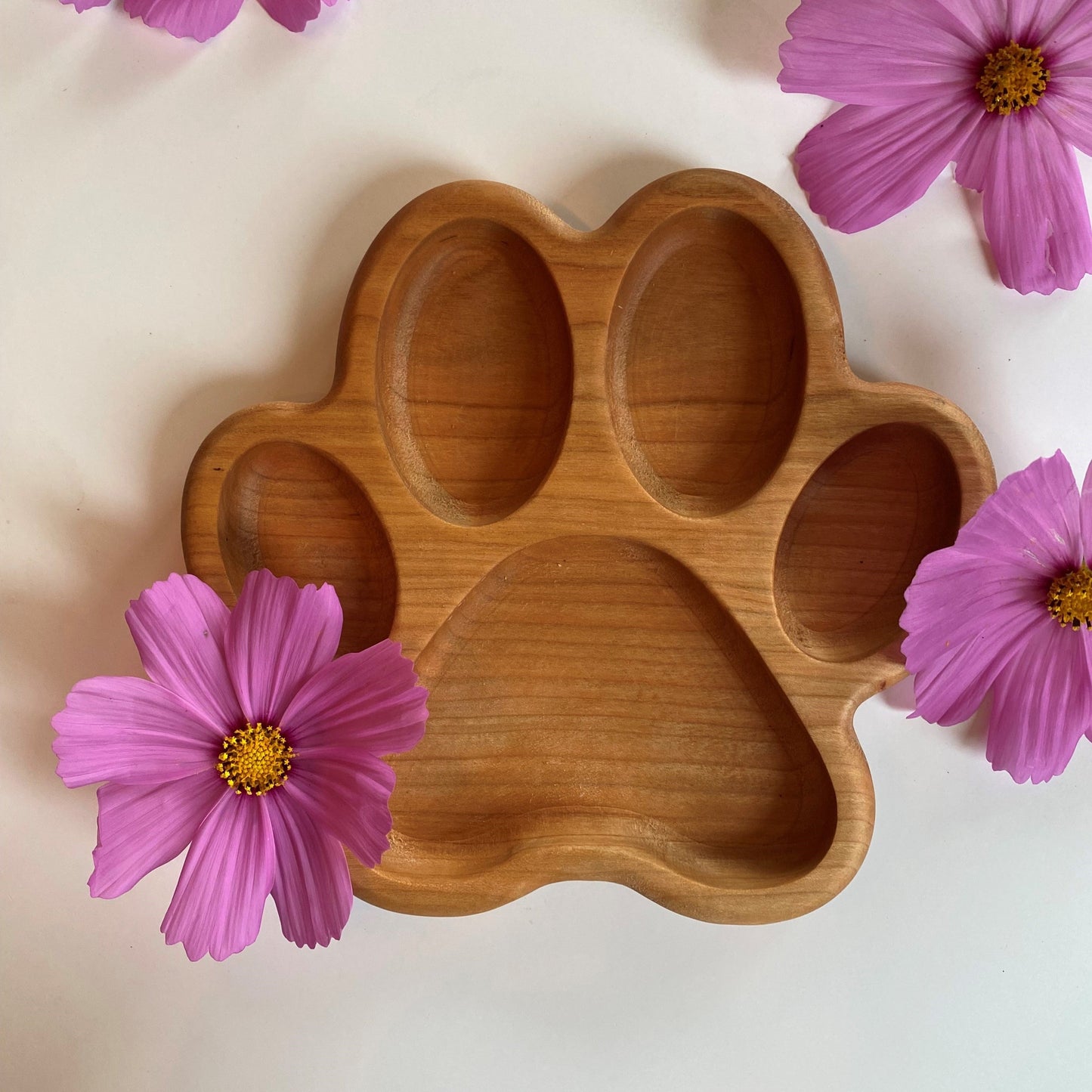 Playful Paws Tray 🐾